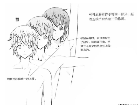 不会画手臂怎么办?教你人物手臂姿势的画法教程!