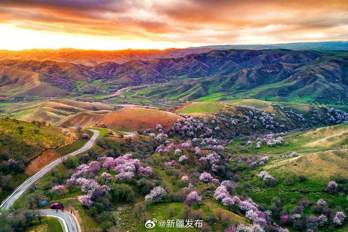 新疆春天风景图片图片