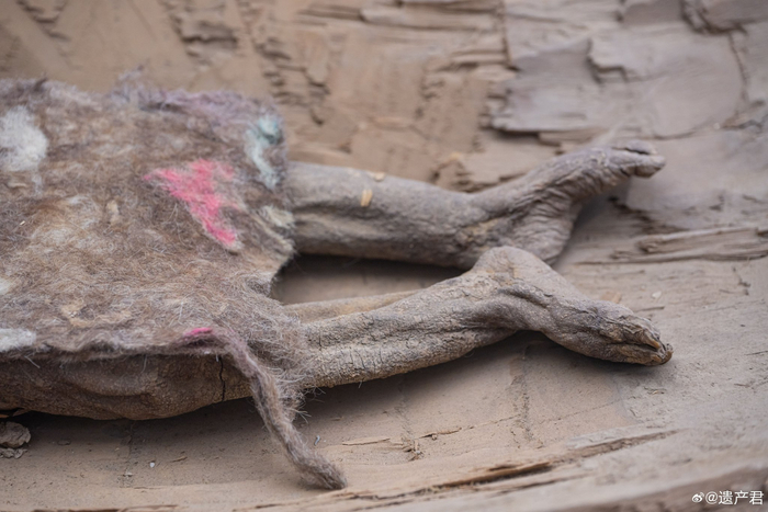 3800年前的婴儿干尸,相当于中原二里头文化时期,古墓沟墓地出土