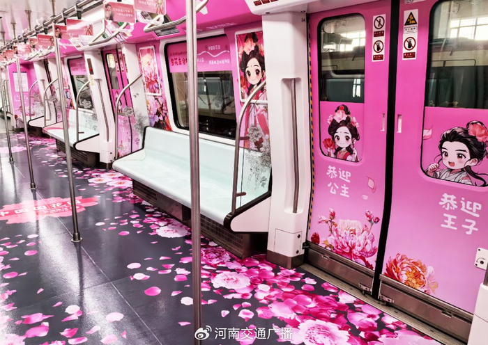 牡丹花开在了洛阳地铁上|牡丹|车厢|专列_新浪新闻