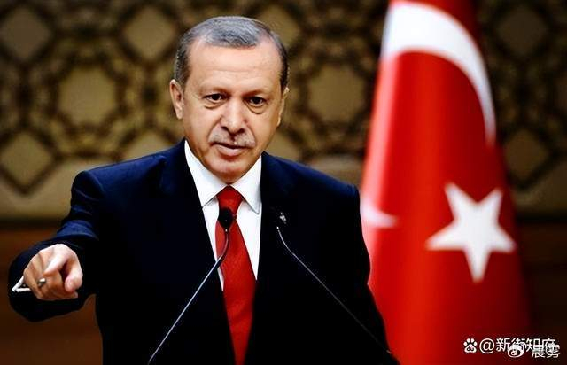 埃苏丹又愤怒了|苏丹|埃尔多安|以色列_新浪新闻