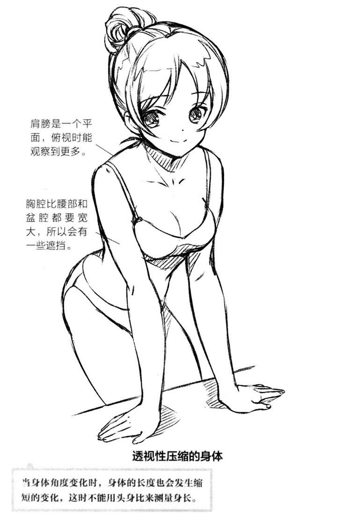 画透视想偷懒点进来新手也能快速学会的大透视人体技巧