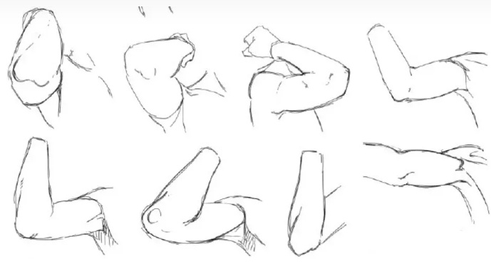 手把手教你人物手肘画法!|背肌|手肘|胸肌_新浪新闻