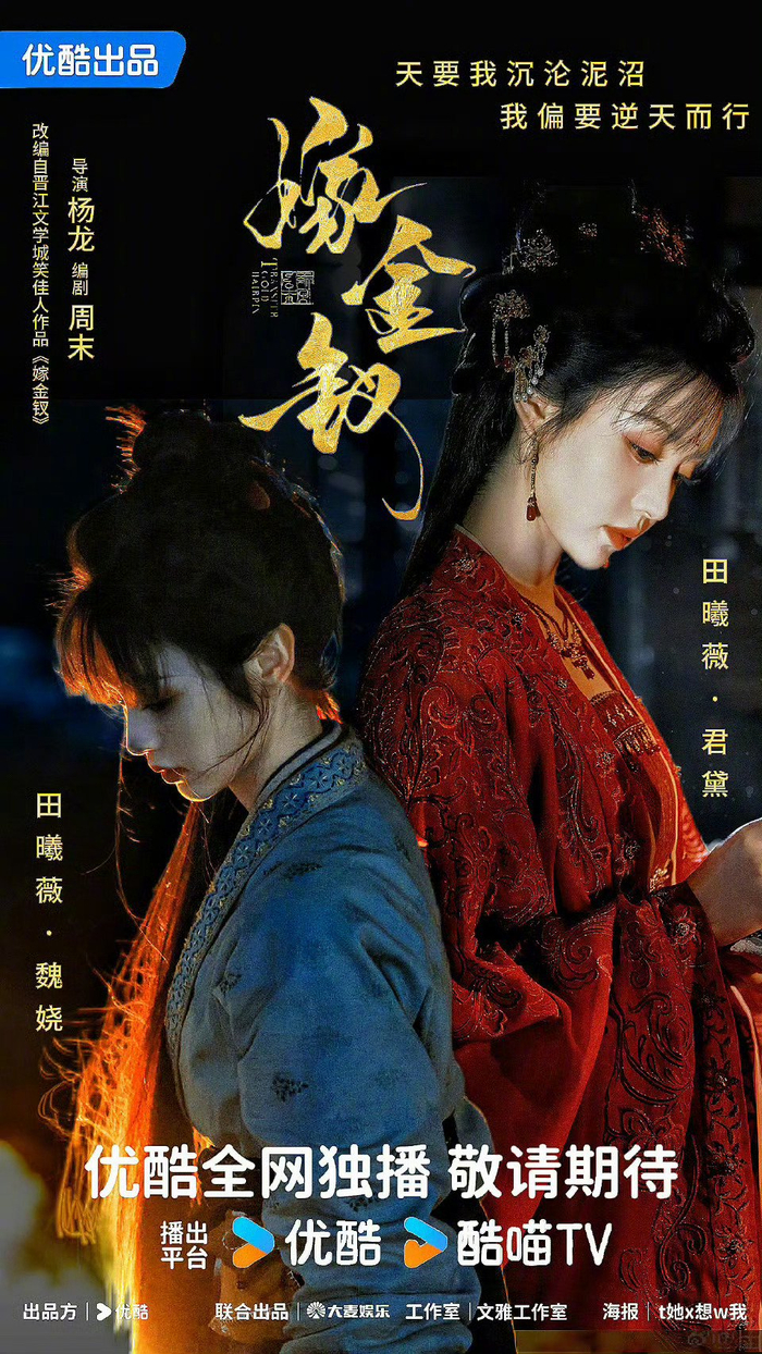 【国剧】嫁金钗 (2026) 田曦薇 / 闫桉 / 刘小北 剧情 / 爱情 / 古装