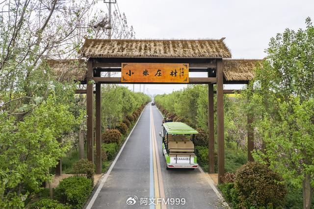 平顶山郏县:"茶旅融合"让茶食更香村民更富|布朗|茶食|郏县_新浪新闻