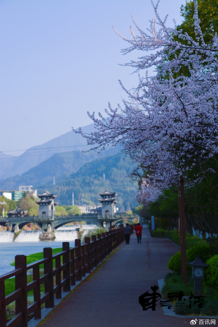 醉美畲乡景宁诗意春天风景画册:30张壁纸级美图带你感受畲乡浓浓春意