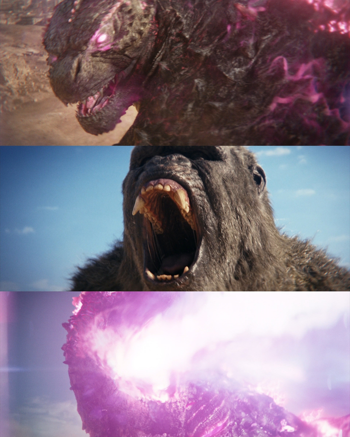 不愧是让大家期待了那么久的哥斯拉大战金刚2