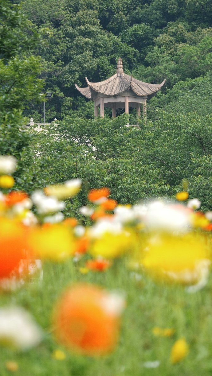 苏州上方山森林公园