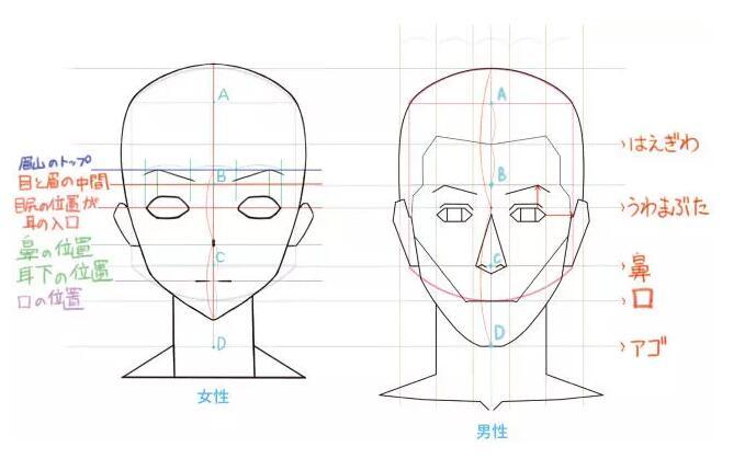 一步一步教你人物脸的画法详细教程