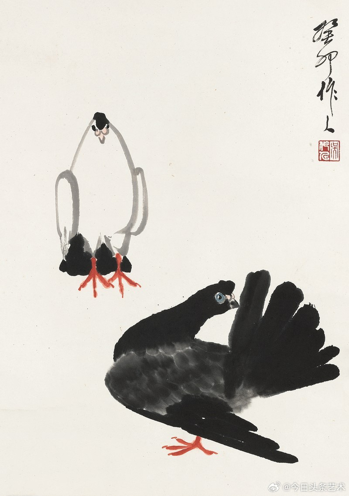 画家吴作人笔下的鸽子