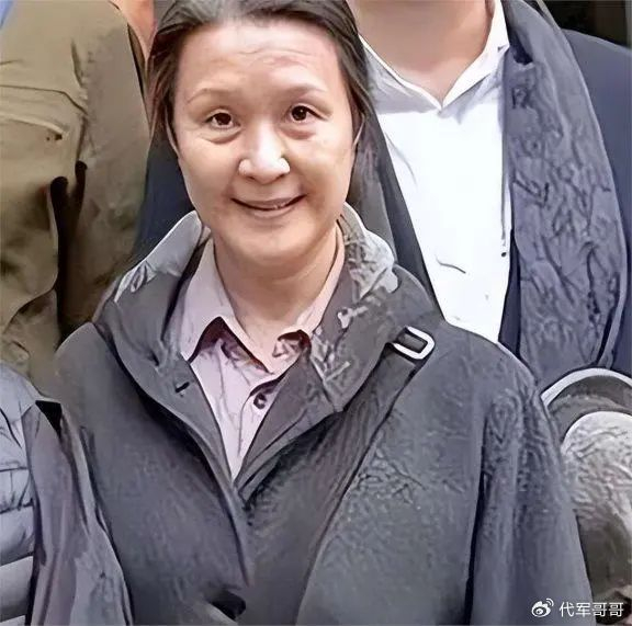 出轨小10岁的屠洪刚,8年后被人插足婚姻|方舒|陈国星|屠洪刚_新浪新闻