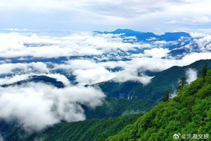 徜徉美景,放松心情,舒缓压力,调理身体,安放焦虑疲惫的身心,瓦屋山之