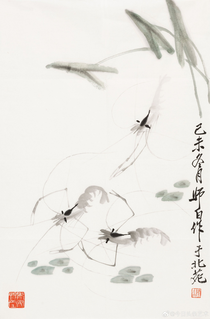 画家娄师白笔下的虾