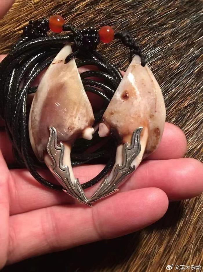 狼牙真的可以辟邪么为啥那么多人都喜欢戴