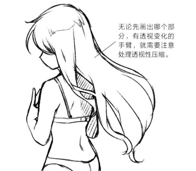 画透视想偷懒?点进来,新手也能快速学会的大透视人体技巧!