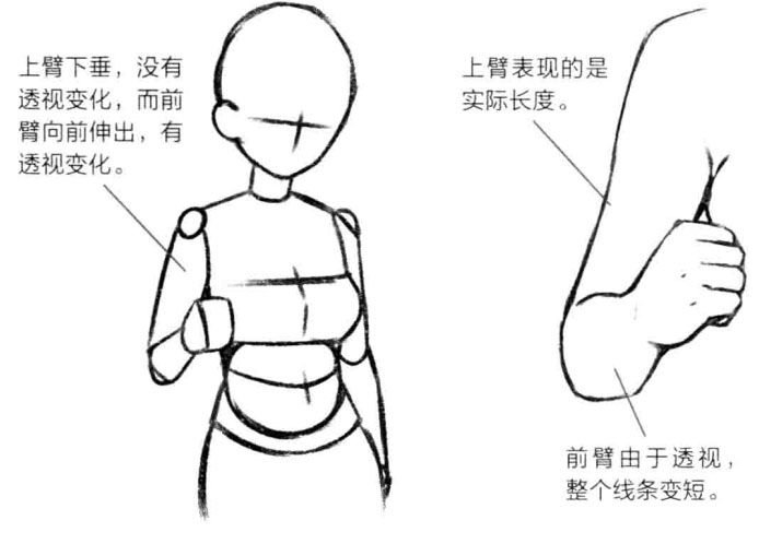 画透视想偷懒点进来新手也能快速学会的大透视人体技巧