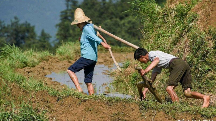掏空父母的养老钱，盖房，买房，买车，谁为他们的养老买单？