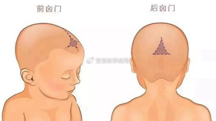 宝宝囟门是“健康情报”，妈妈早知道，宝宝也少吃亏