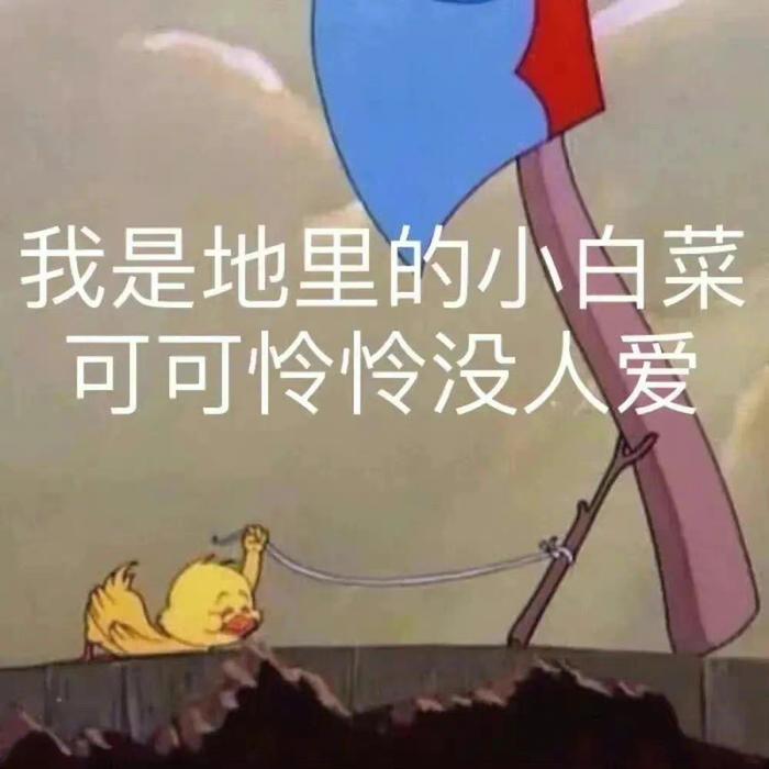 小白菜地里黄表情包图片