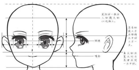 请按照下图那样,换一个角度按照"等间距法则"绘画一下吧.