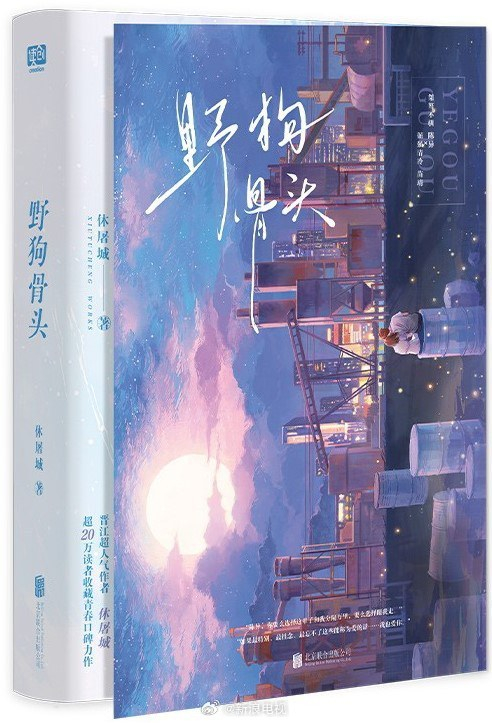 烈火影视《野狗骨头》拍摄制作备案公示!|苗靖|张宾|陈异|纵火案|嫌犯_新浪新闻