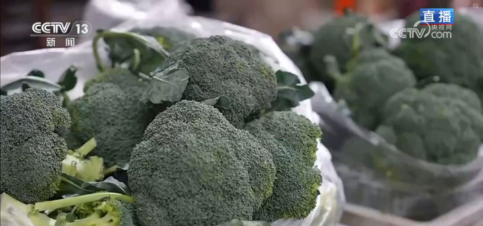 集市人气旺、年宵花争艳 “年货消费”活力充沛激发经济增长新动能