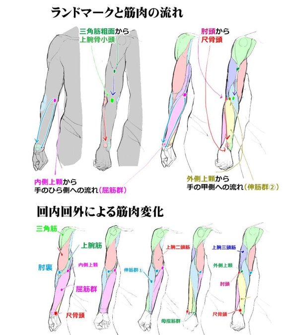 移动和旋转