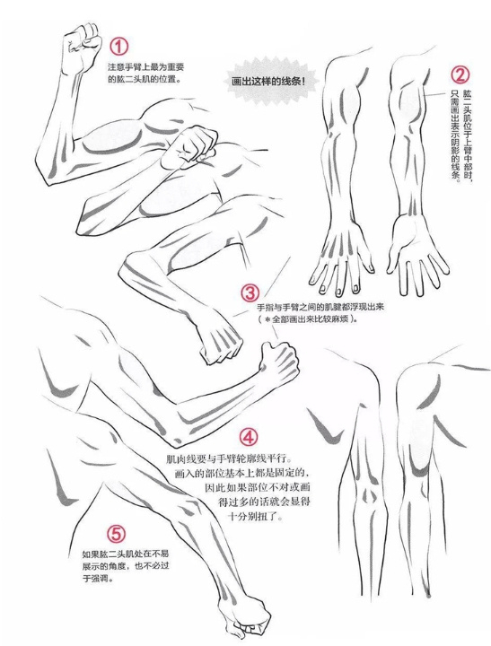 教你人物手臂姿势的画法教程!
