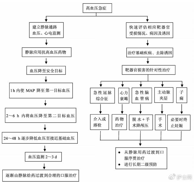 原发性高血压思维导图图片