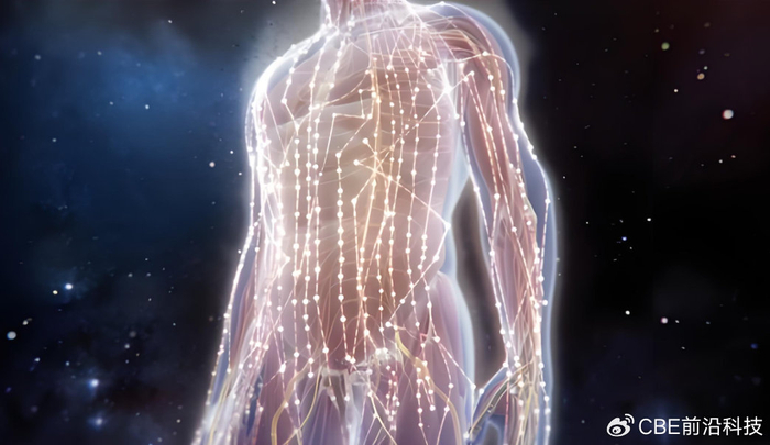 深夜看手,你有微光吗?科学家:有!每个人都是24小时发光的生命体|光子|生物|物理科学|辉光|细胞_新浪新闻