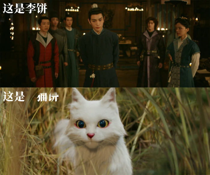 丁禹兮 | 大理寺少卿游