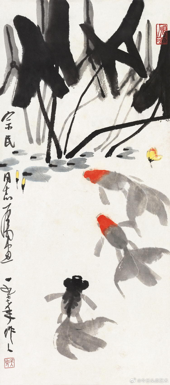 吴作人笔下的金鱼