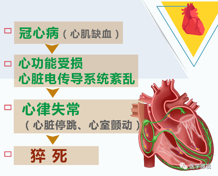 20多岁员工猝死在办公室,猝死前有哪些征兆?__财经头条