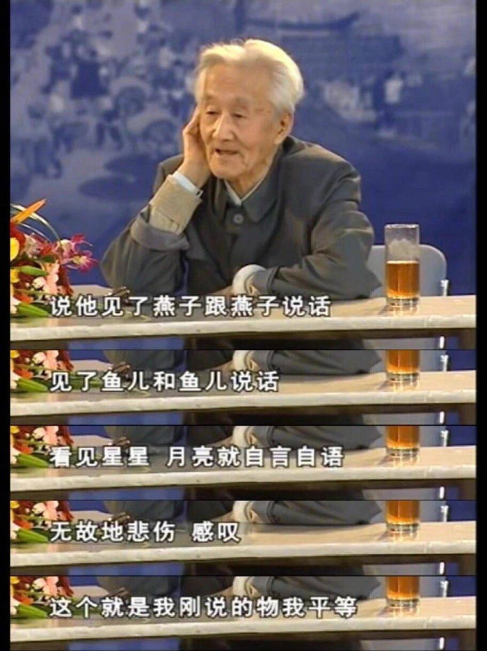 当代"红学泰斗"周汝昌先生谈红楼梦,字字看来皆是血