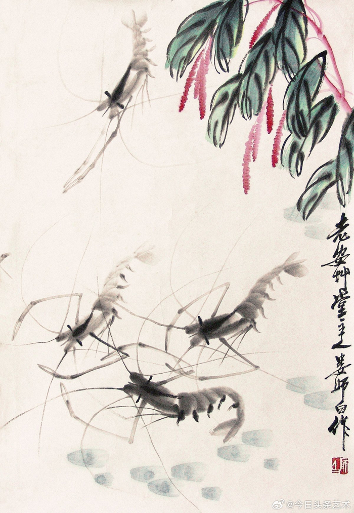 画家娄师白笔下的虾