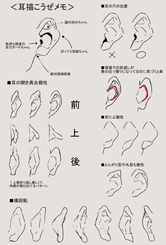 耳朵怎么画好看耳朵的详细画法这么详细的教程你学会了吗