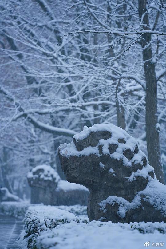 古代下雪图片图片