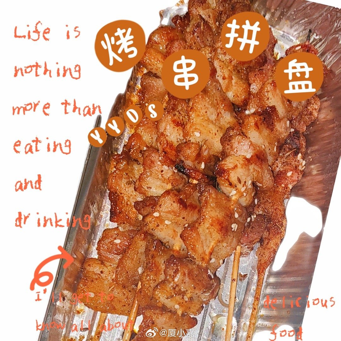 别再叫我单身狗了我是食堂干饭闪电狼