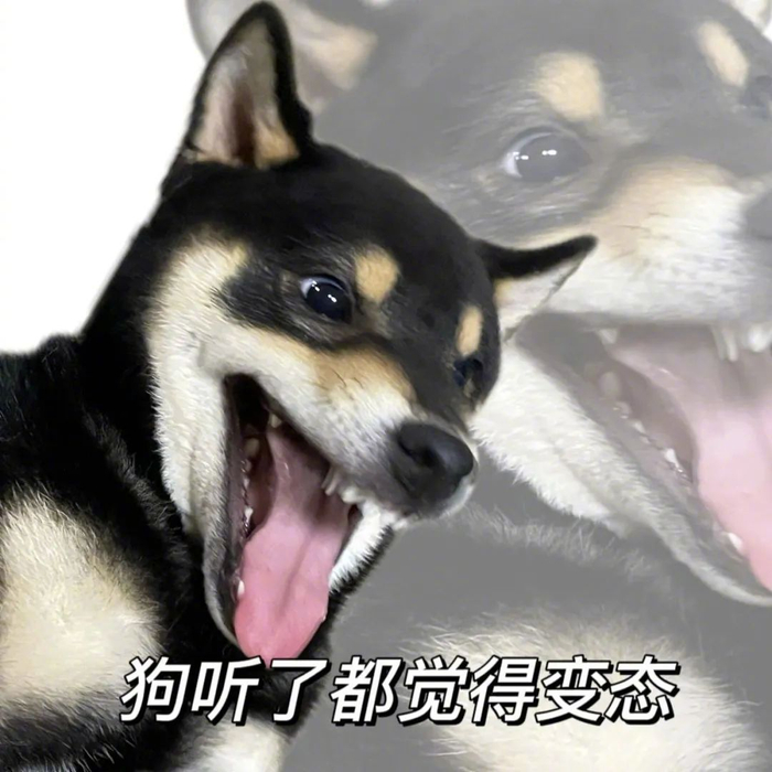 斗图常用表情包:行不行啊 细狗 ~~拿图吱声~~ 不点赞,没动力更新了