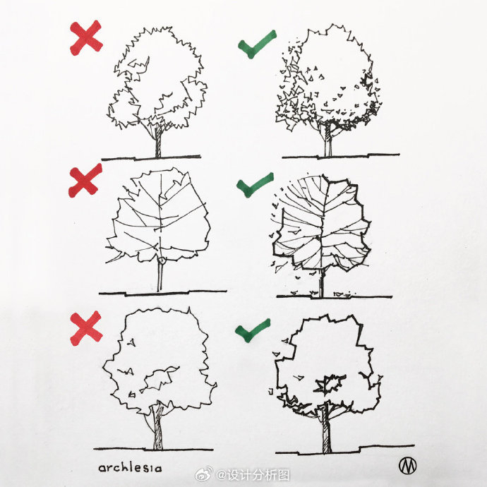 手绘植物的画法和优化