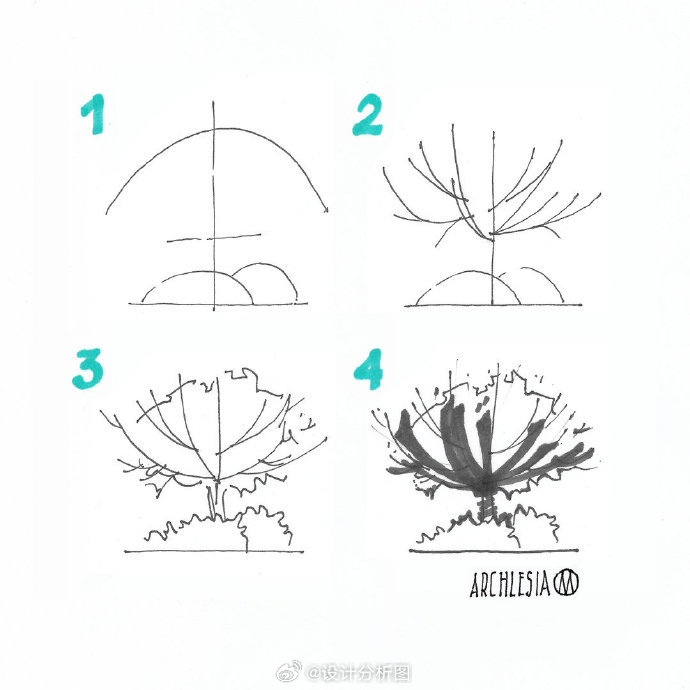 手绘植物的画法和优化