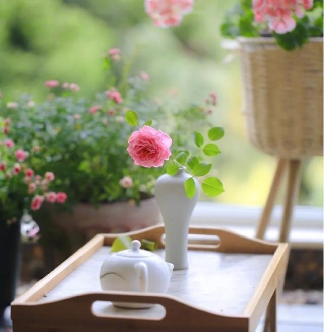 香风满阁花盈户，树树树梢啼晓莺