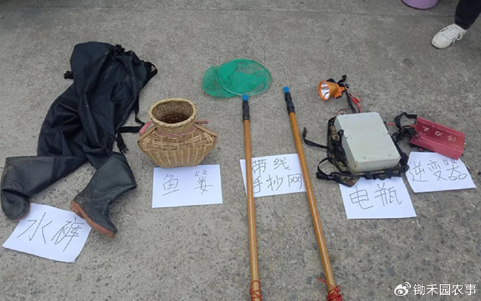但是他是在自家鱼塘电鱼,好像《渔业法》也管不着吧?