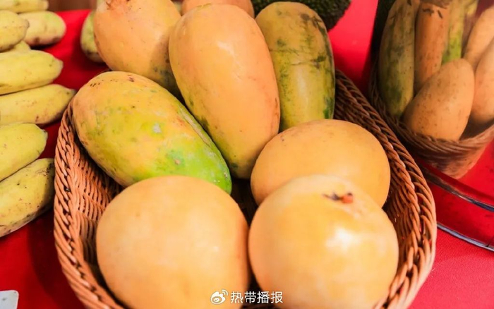 "豆"来啦!秀英石山约定你~第二届石山豆腐美食节今日开幕