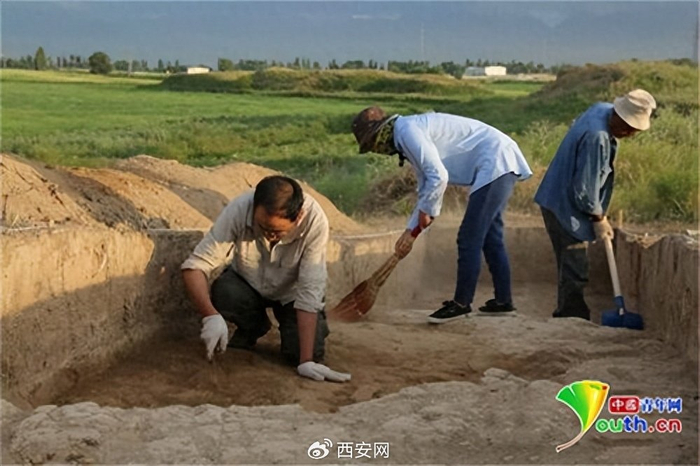西安考古队续写跨越千年的丝路情