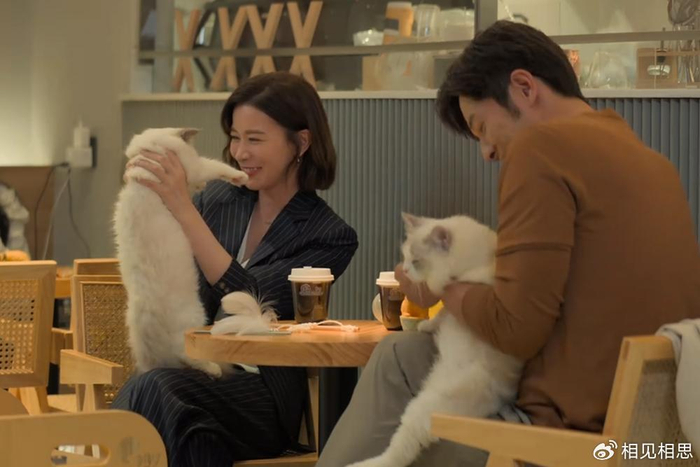 电视剧《今天的她们》大结局,梁清然和安医生在新加坡悠闲地度假,并且