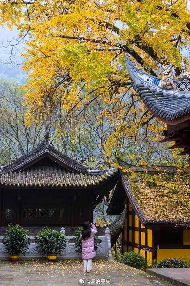 重庆北碚温泉寺图片