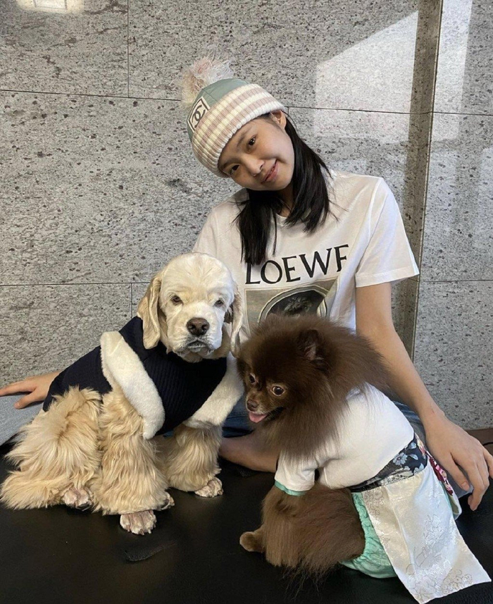 jennie和她的宠物们