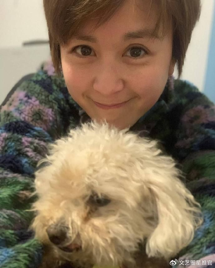 41岁唐宁移民新西兰近照,变化很大认不出,被质疑整容失败|新西兰|唐宁