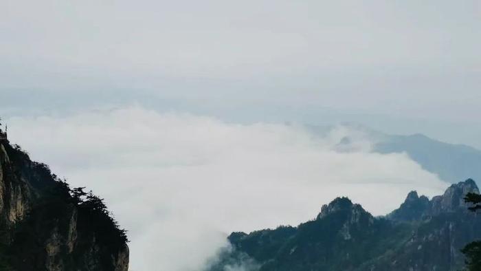 耿兵诗选｜这些冰冷的雪，只是一味地表达着内心的伤痛
